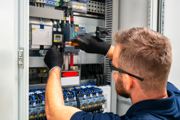 Best Electric Panel Repair  in Clermont, GA